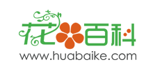 花百科Logo